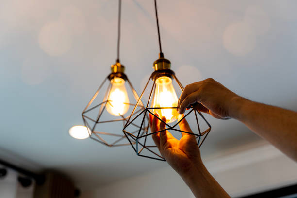 Best Outdoor Lighting Installation  in Ortonville, MI