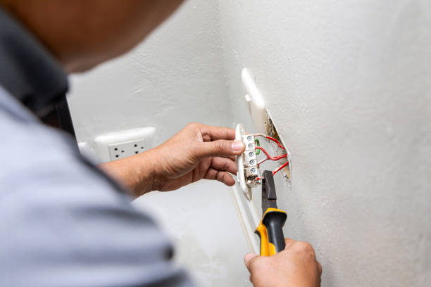 Best Electrical Upgrades for Homes  in Ortonville, MI