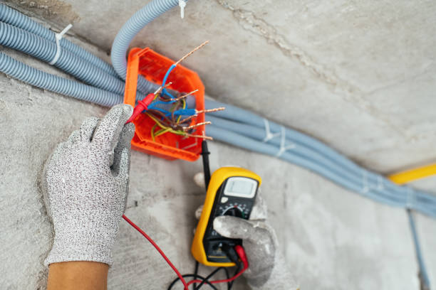 Best Electrical System Inspection  in Ortonville, MI