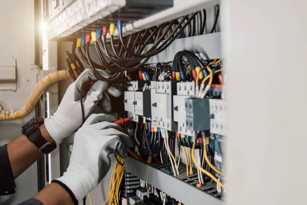 Best Affordable Electrician  in Ortonville, MI